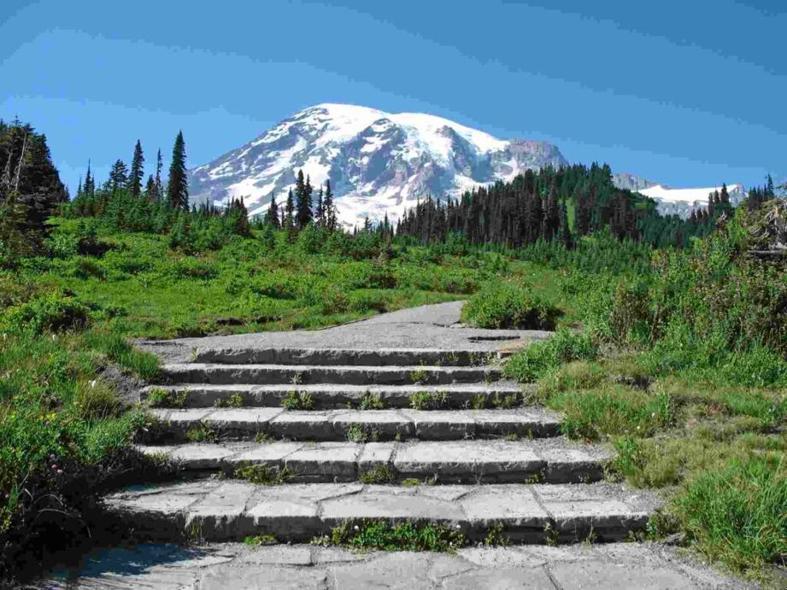 A hiking trail towards Mount Rainier in Tacoma, Washington