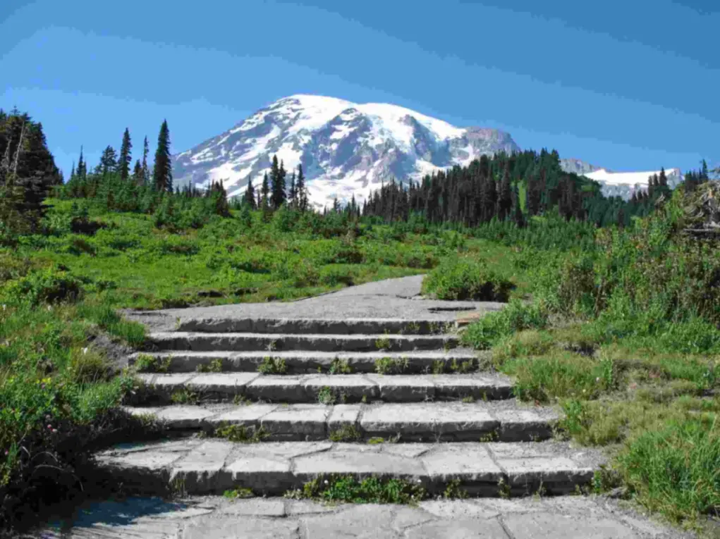 A hiking trail towards Mount Rainier in Tacoma, Washington