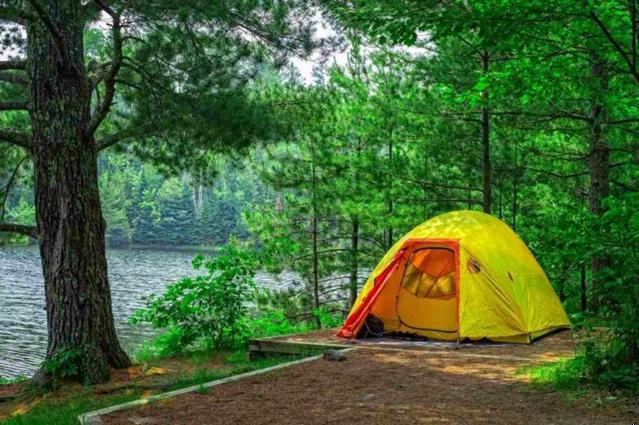 A yellow tent sitting on a camping platform near a tree and body of water