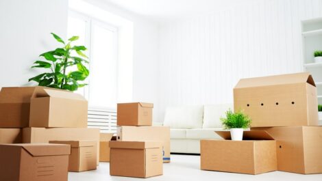 A white room with a couch and plants is full of stacks of cardboard moving boxes
