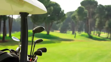 A close-up of a golf cart holding several golf clubs.