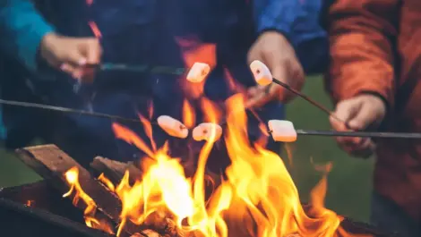 A group of friends roasting marshmallows around a fire.