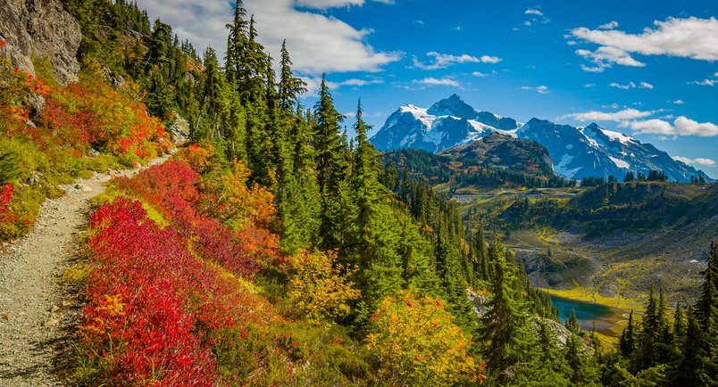 Fall foliage decorates Chain Lakes Trail at Mount Baker in Washington. 