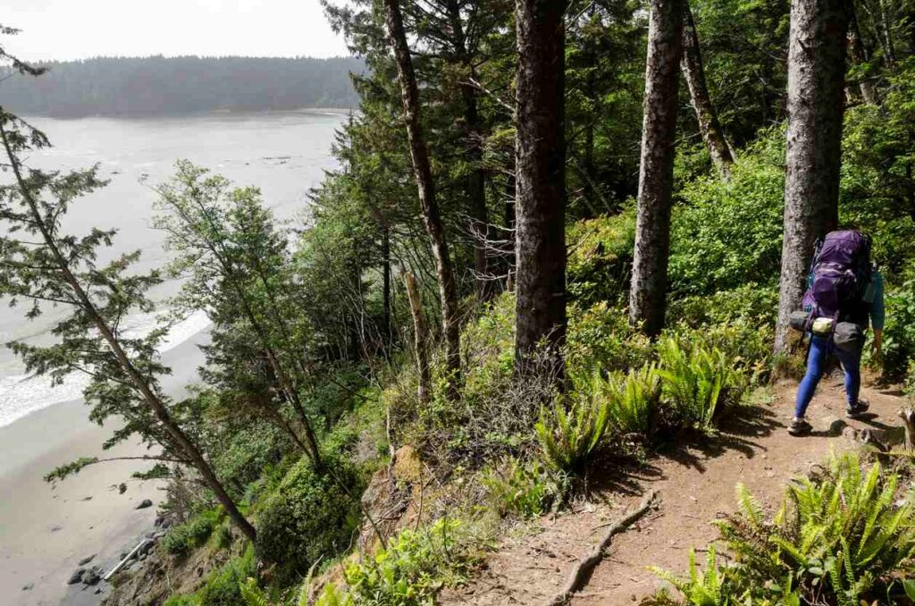 A backpacker traverses a coastal trail in Olympic National Park in Washington.