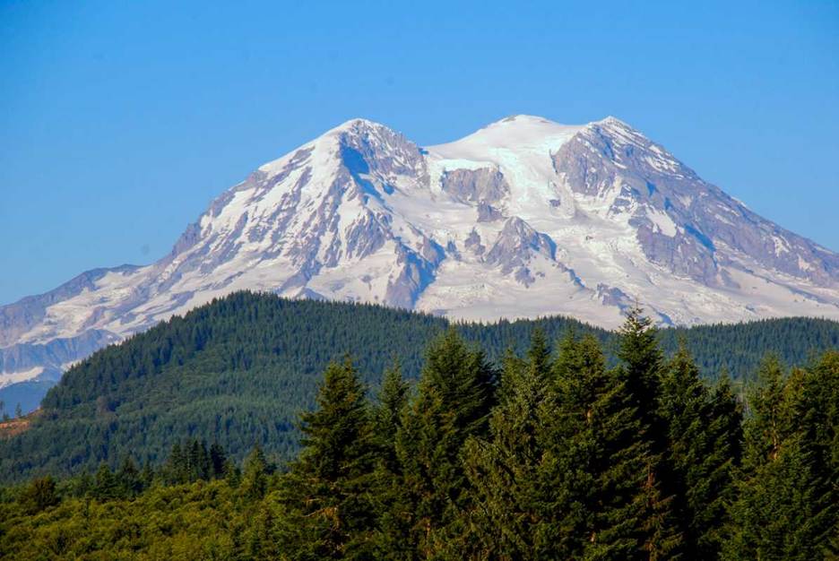 Snow-capped Mount Rainier sits beyond the green, towering trees and rolling hills. 